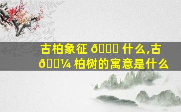 古柏象征 🐝 什么,古 🐼 柏树的寓意是什么